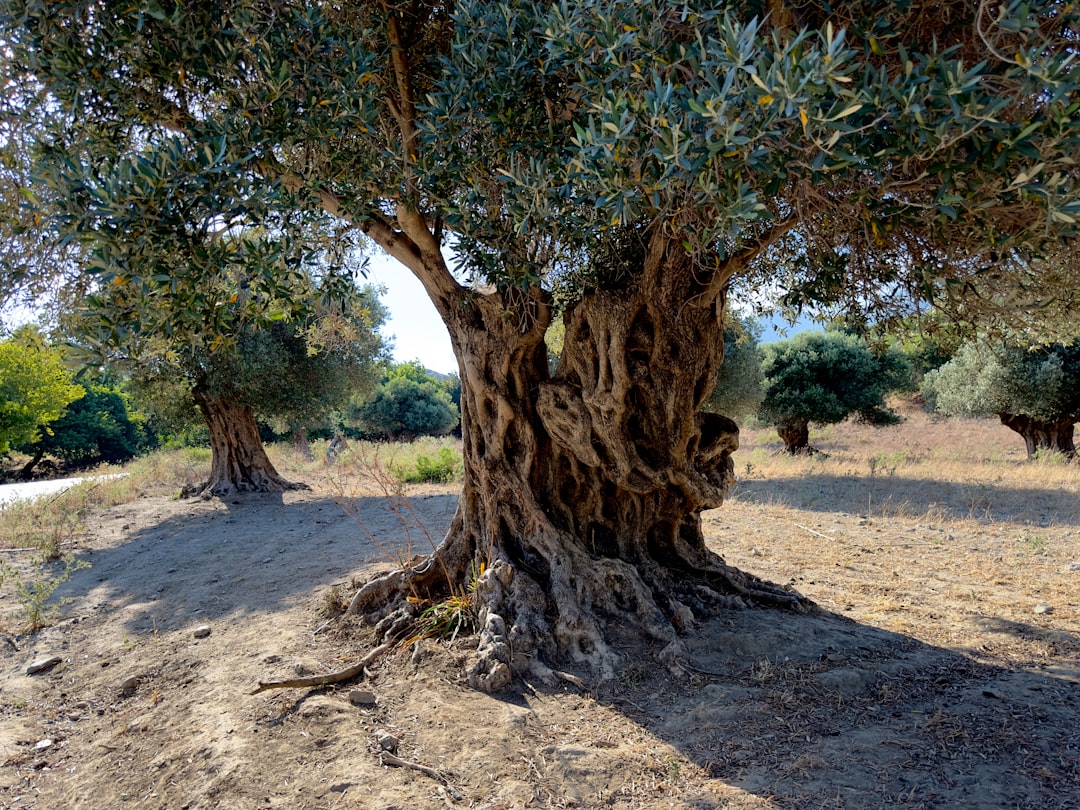 Treillières